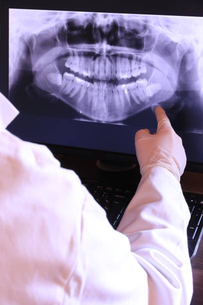 Best Emergency X-Rays and Diagnostics in Pickens, SC
